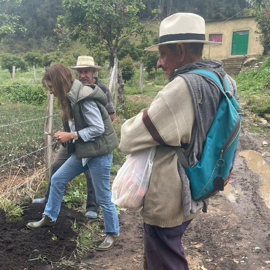 Paisaje de cultivos sostenibles con sistema de riego, simbolizando el compromiso de Merco Riego con la sostenibilidad ambiental