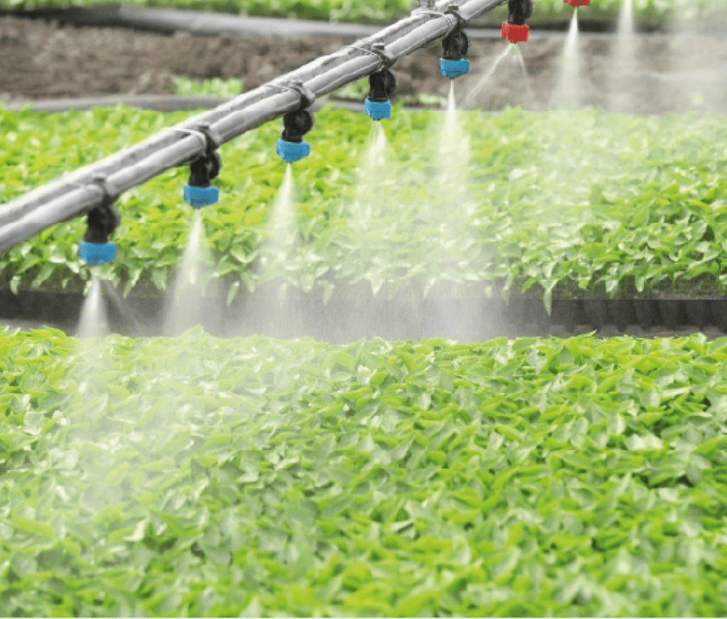 Sistema de riego por aspersión en cultivo de vegetales