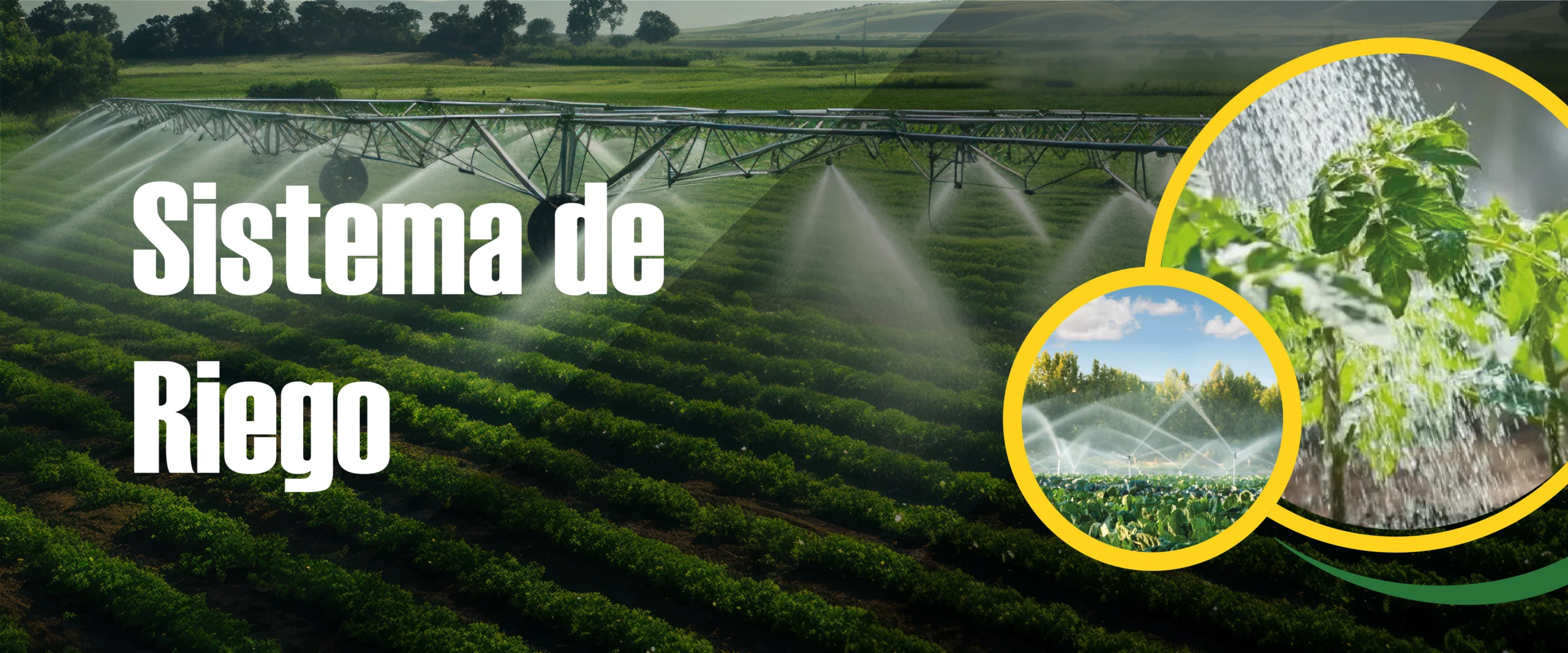 Sistema de riego para cultivos agrícolas con tecnología avanzada