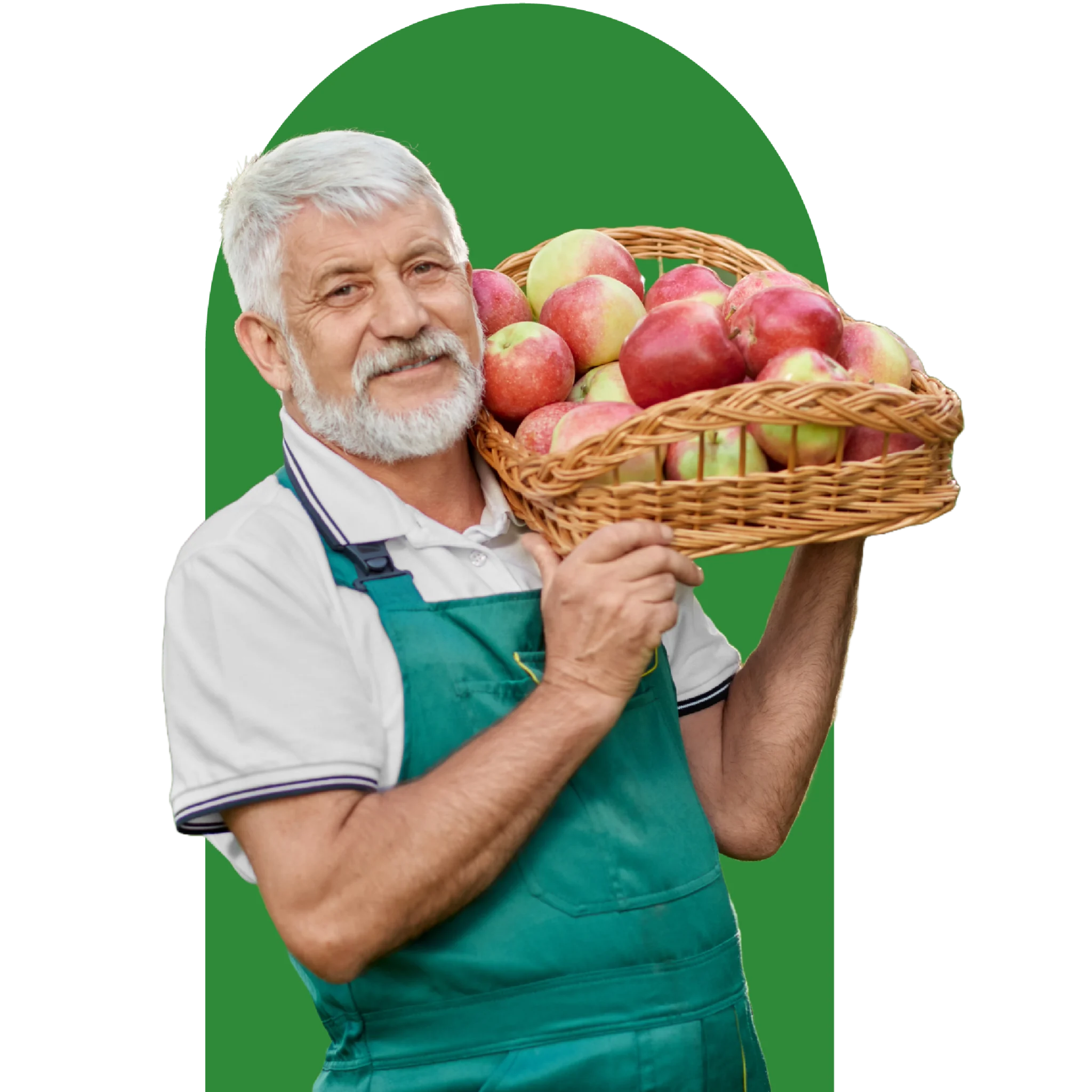 Persona con delantal verde sosteniendo una canasta llena de manzanas.