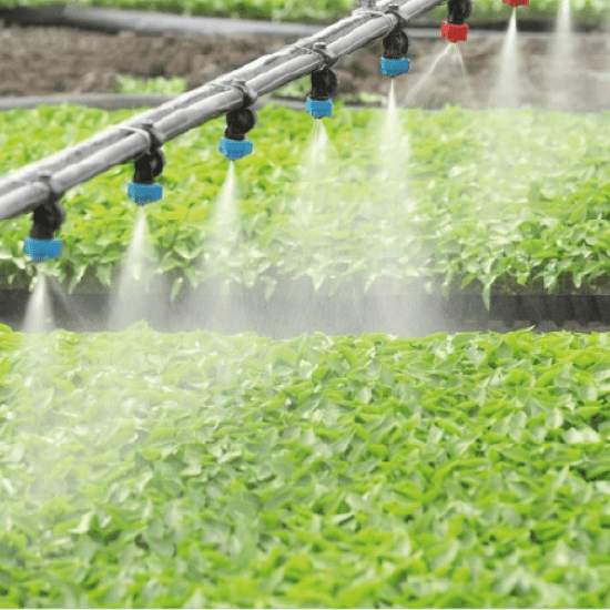 Sistema de Riego por Aspersión Sistema de riego por aspersión en cultivo de vegetales
